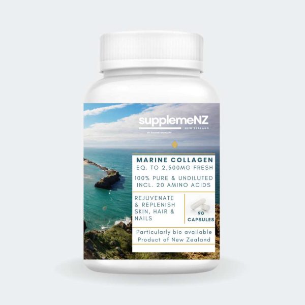 auto draft product page marine collage NZ